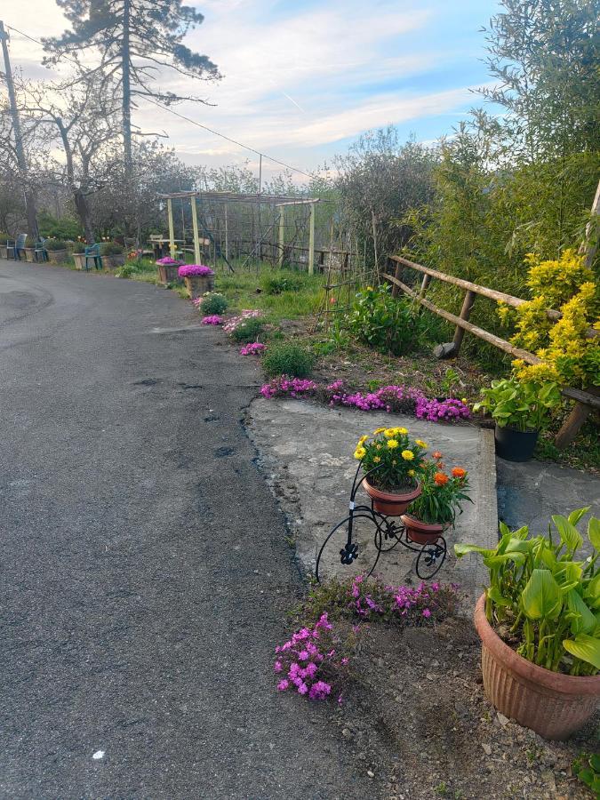 Отель Il Giardino Dei Pavoni Soviore Экстерьер фото