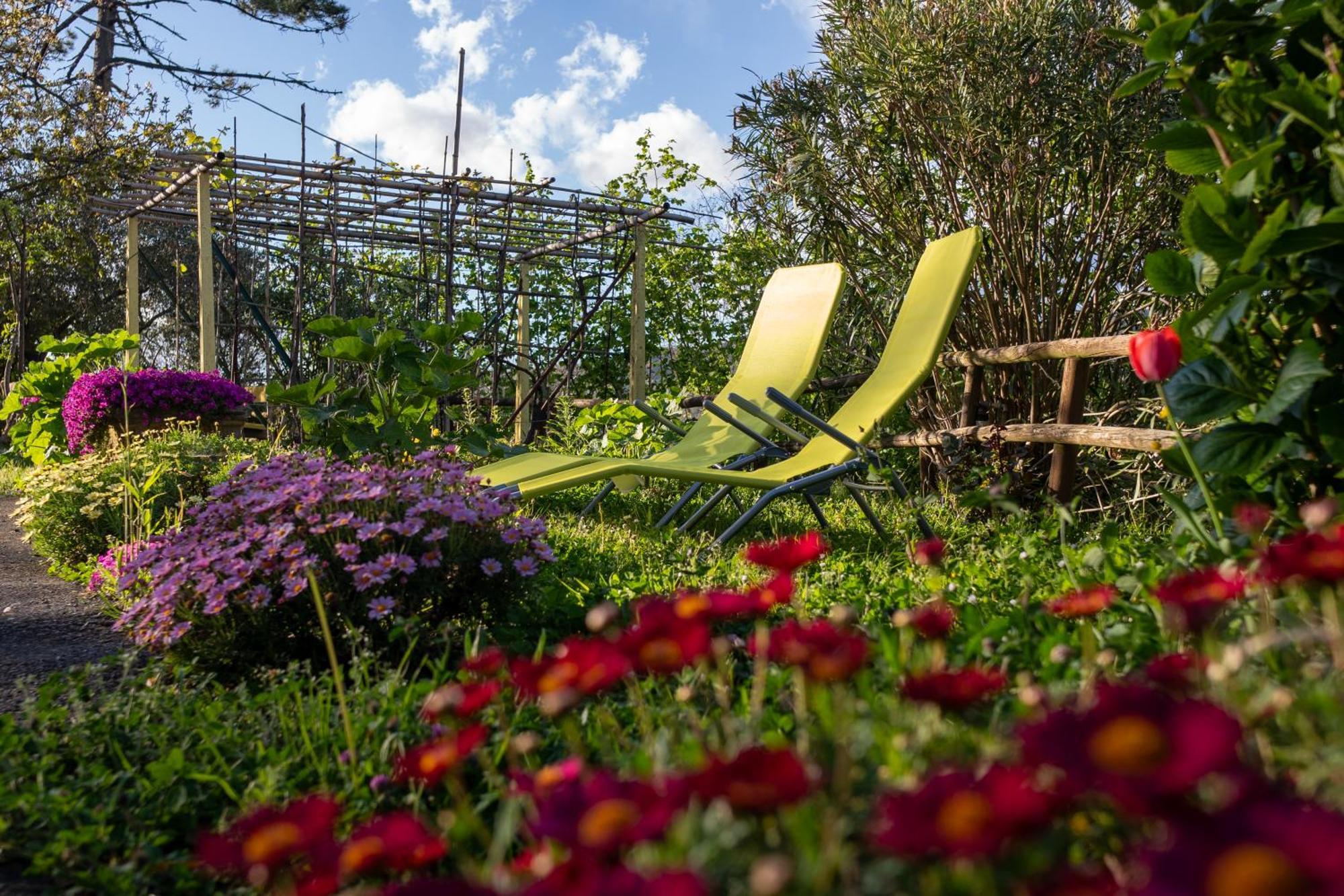 Отель Il Giardino Dei Pavoni Soviore Экстерьер фото